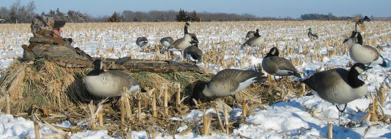 IowaFieldHunt.jpg