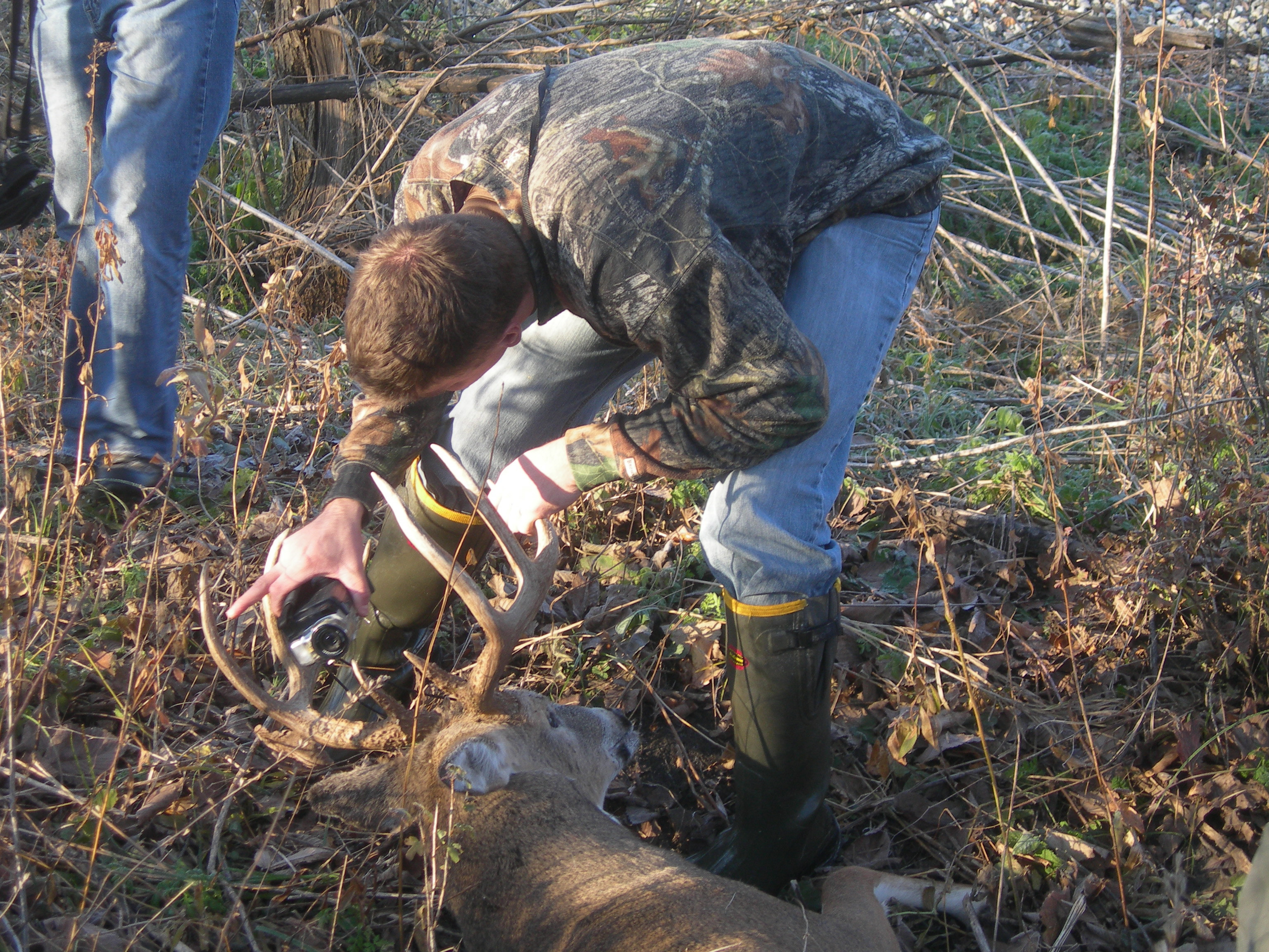 Deer/Bow_Recovery_00000013.jpg